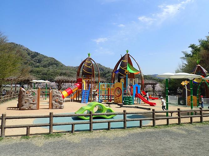 Bamboo Joy Highland