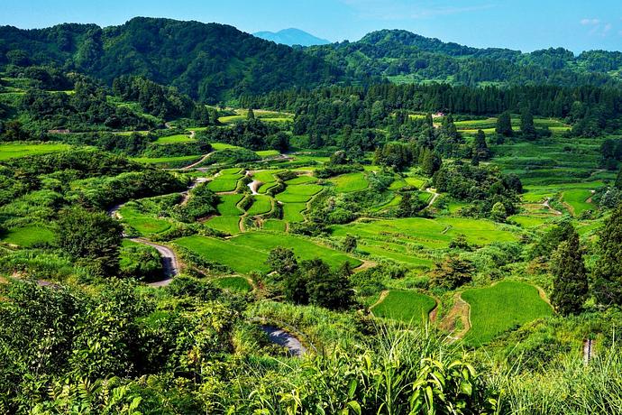 Echigo-Tsumari Art Field