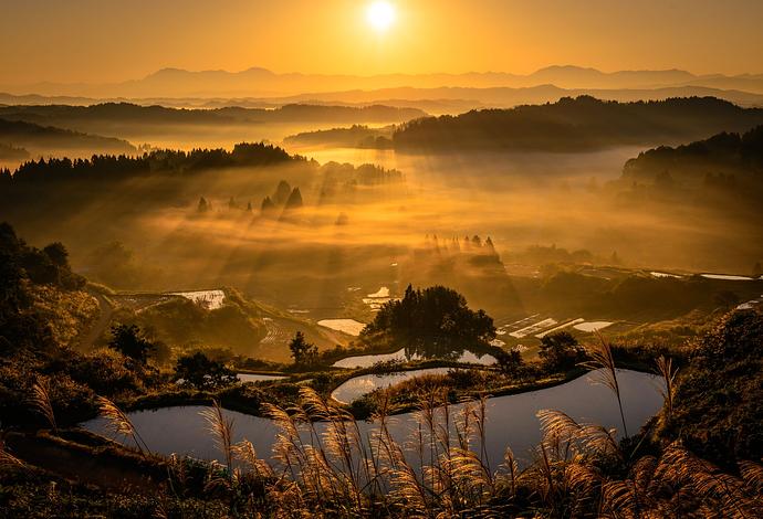 Activities in Tokamachi