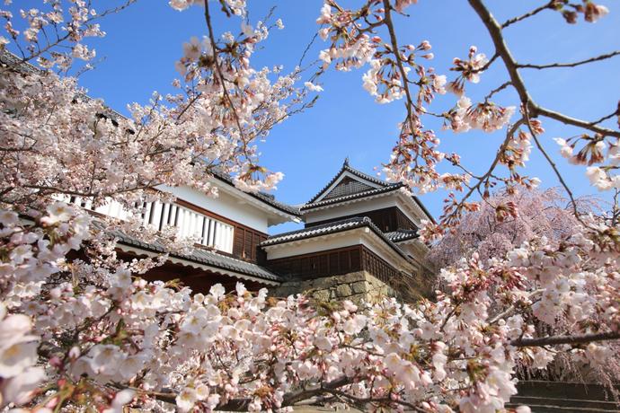 Ueda Castle Ruins Park